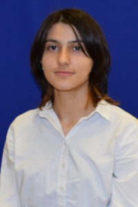 ანა ლიპარტელიანი