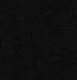 ანი ირემაშვილი