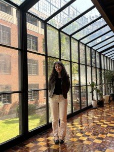 ანი ჯოჯუა