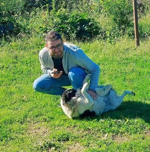 ტარიელი