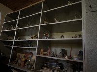 “მოხალისეობა 360გრადუსის”კლუბის ფარგლებშიგანხორციელდა აქტივობა, შშმ პირებთან ვიზიტი