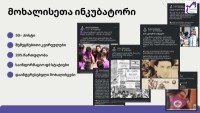 მოხალისეთა ინკუბატორი